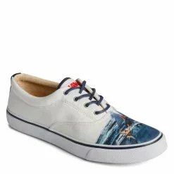 Men's Sperry, JAWS Striper II CVO Sneaker